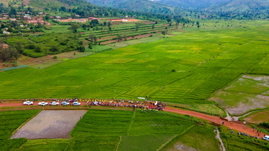 Marais et bassins-versants de Muhembuzi et de Nduruma, Province de Kirundo au Burundi